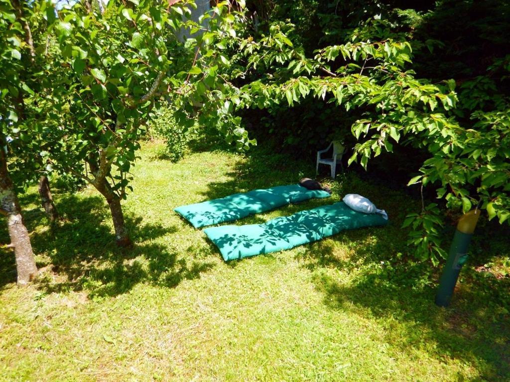 80 M2 Independant 4 Personnes Direct Gare Ou Aeroport Jardin Piscine Apartment ตูลูส ภายนอก รูปภาพ